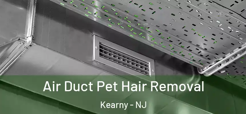  Air Duct Pet Hair Removal Kearny - NJ