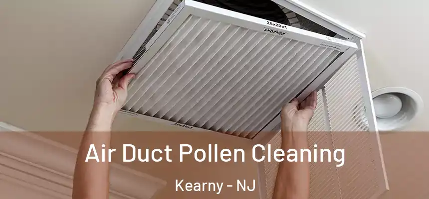 Air Duct Pollen Cleaning Kearny - NJ