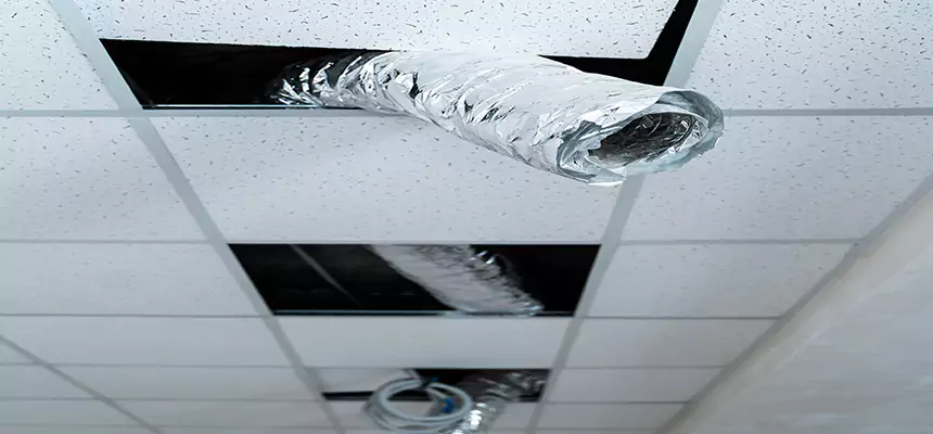 Affordable HVAC Sanitizing After Pest Removal in Kearny