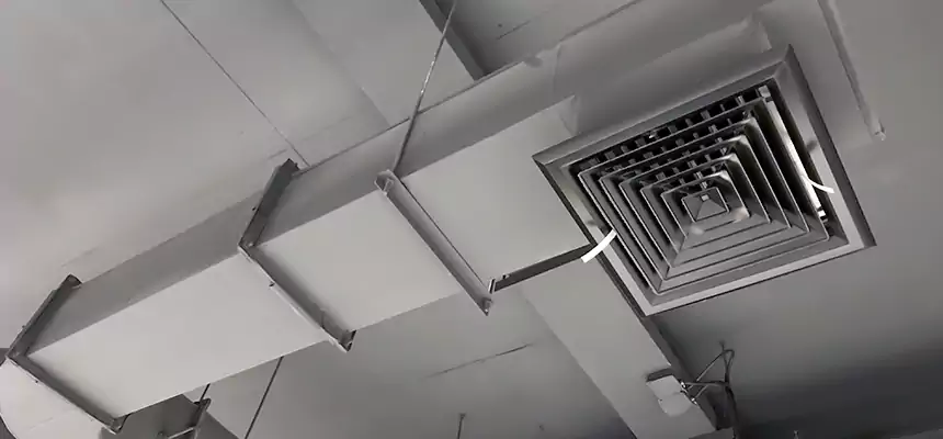 Our Pest Removal From Ducts Services in Kearny, NJ