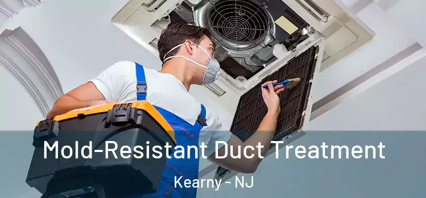  Mold-Resistant Duct Treatment Kearny - NJ