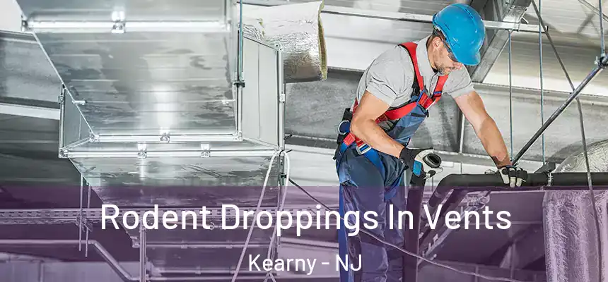  Rodent Droppings In Vents Kearny - NJ