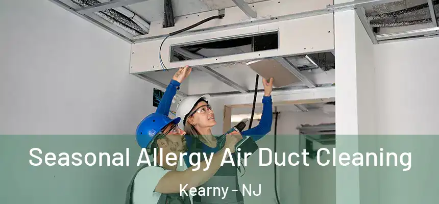  Seasonal Allergy Air Duct Cleaning Kearny - NJ