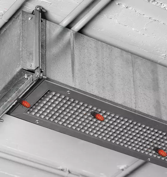 About Air Duct Cockroach Removal in Kearny, NJ