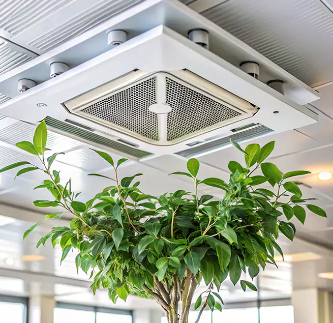 Why Homeowners & Businesses Trust Us in Kearny, NJ