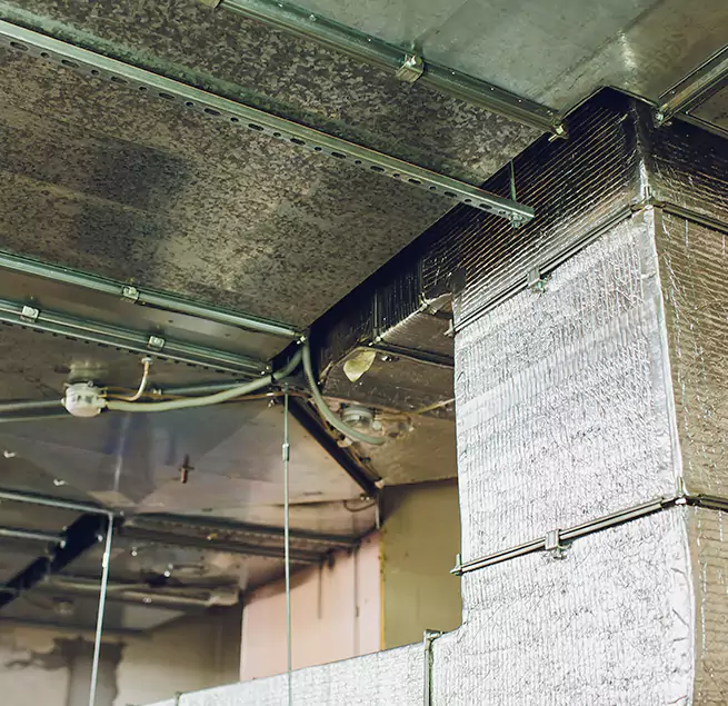 Why Homeowners & Businesses Trust Us in Kearny, NJ?